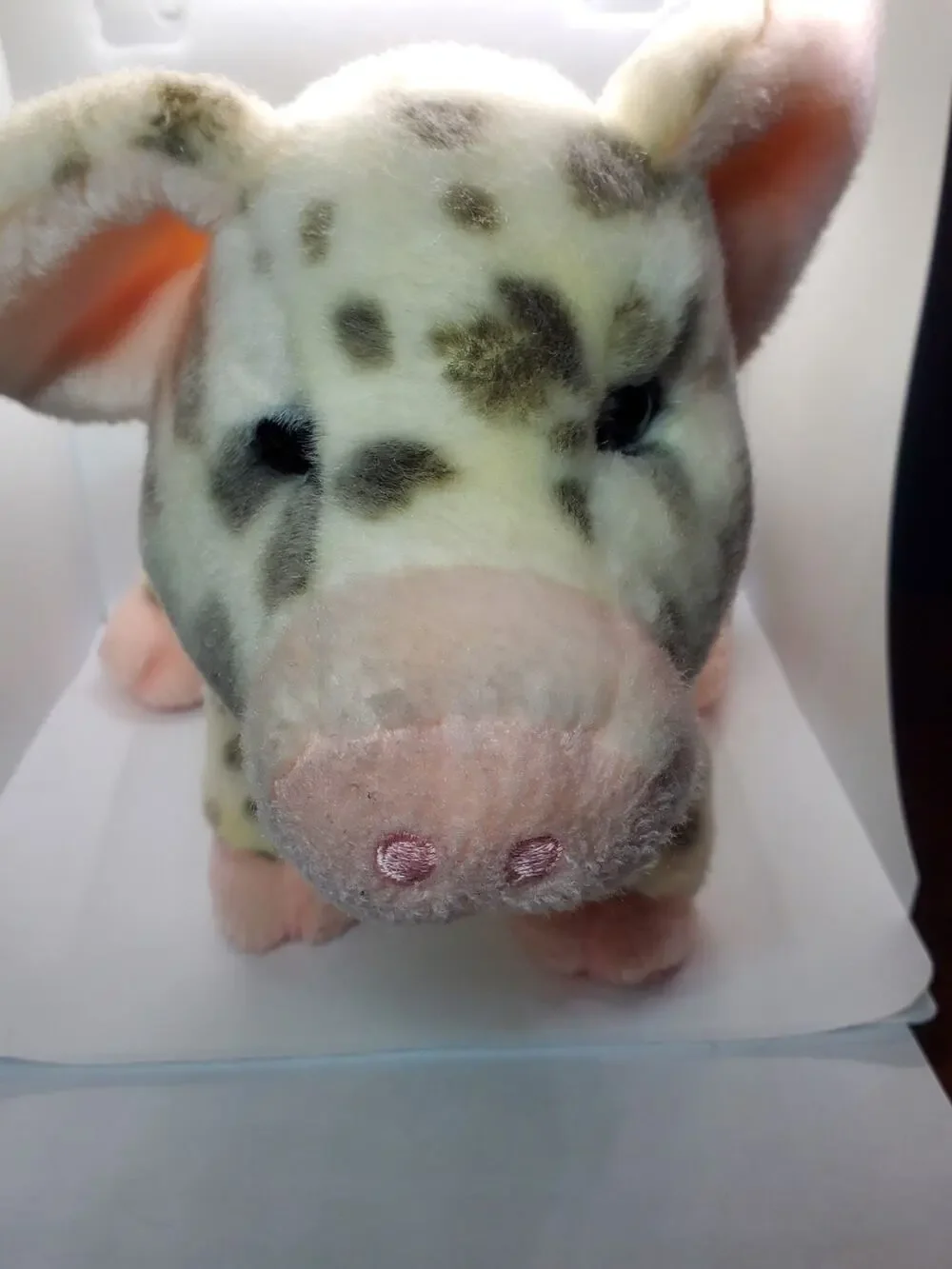Douglas Leroy Spotted Pig Plush 12